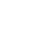 vegetarian